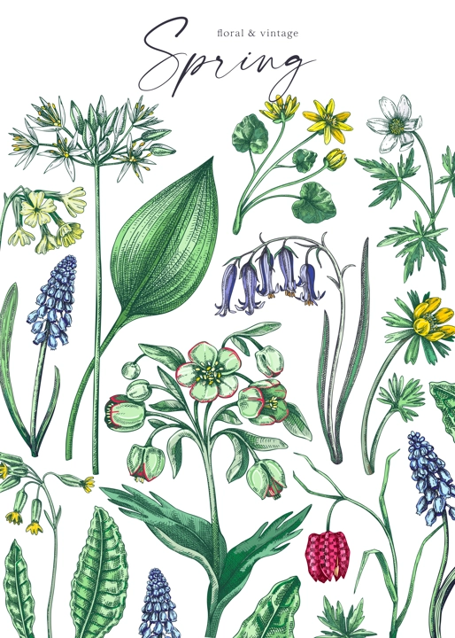 Delicate spring background. Wildflowers. Woodland wild flower sketches. Floral card, wedding invitation design template. Hand drawn vector illustration, NOT AI generated